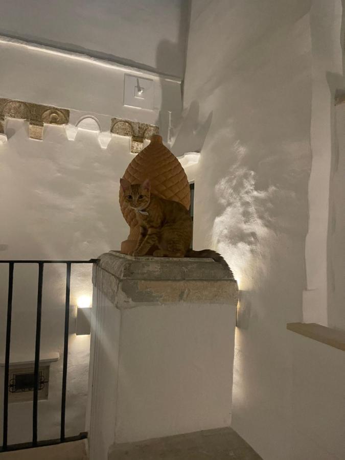 Hotel Palazzo Nur 3*